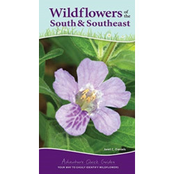 Wildflowers of the South & Southeast: Your Way to Easily Identify Wildflowers