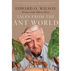 Tales from the Ant World