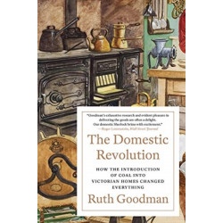 The Domestic Revolution - How the Introduction of Coal into Victorian Homes Changed Everything