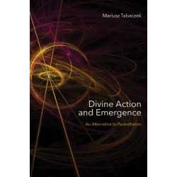 Divine Action and Emergence: An Alternative to Panentheism