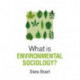 What is Environmental Sociology?
