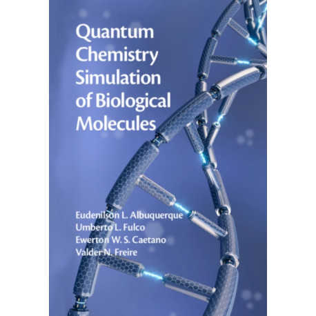 Quantum Chemistry Simulation of Biological Molecules