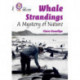 Whale Strandings: A Mystery of Nature: Band 10+/White Plus
