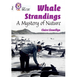 Whale Strandings: A Mystery of Nature: Band 10+/White Plus