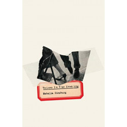 Voices in the Evening