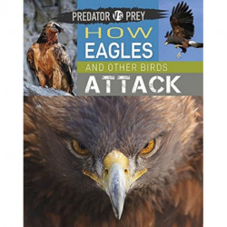 Predator vs Prey: How Eagles and other Birds Attack