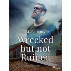 Wrecked but not Ruined