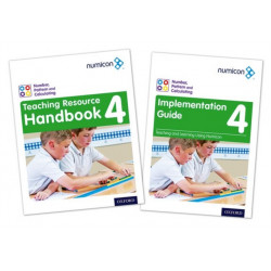 Numicon: Number, Pattern and Calculating 4 Teaching Pack