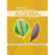 Beginning and Intermediate Algebra: A Guided Approach