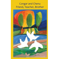 Congar and Chenu, Friend, Teacher, Brother: InterfaceTheology