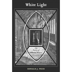 White Light: The Poetry of Alberto Blanco