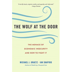 The Wolf at the Door: The Menace of Economic Insecurity and How to Fight It