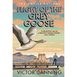 Flight of the Grey Goose