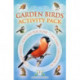 Garden Bird Activity Pack
