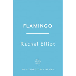 Flamingo: Longlisted for the Women's Prize for Fiction 2022, an exquisite novel of kindness and hope