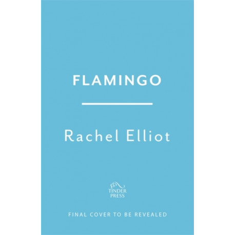 Flamingo: Longlisted for the Women's Prize for Fiction 2022, an exquisite novel of kindness and hope
