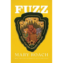 Fuzz - When Nature Breaks the Law