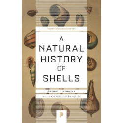 A Natural History of Shells