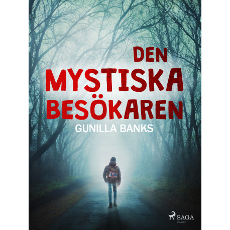 Den mystiska besökaren