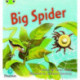 Bug Club Phonics - Phase 5 Unit 27: Big Spider