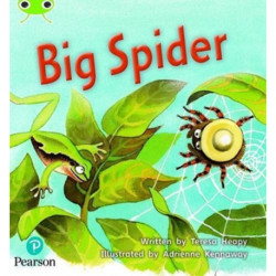 Bug Club Phonics - Phase 5 Unit 27: Big Spider