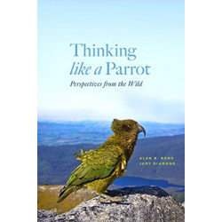 Thinking like a Parrot: Perspectives from the Wild