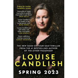 The Only Suspect: A 'twisting, seductive, ingenious' thriller from the bestselling author of The Other Passenger