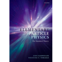 Elementary Particle Physics: The Standard Theory