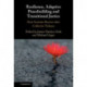 Resilience, Adaptive Peacebuilding and Transitional Justice: How Societies Recover after Collective Violence