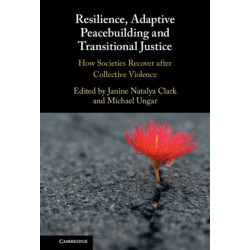 Resilience, Adaptive Peacebuilding and Transitional Justice: How Societies Recover after Collective Violence