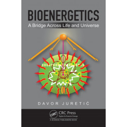 Bioenergetics: A Bridge across Life and Universe