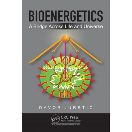 Bioenergetics: A Bridge across Life and Universe