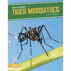 Tiger Mosquitoes