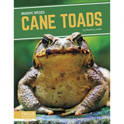 Cane Toads