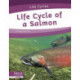 Life Cycle of a Salmon