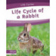 Life Cycle of a Rabbit
