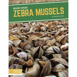 Zebra Mussels