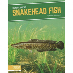Snakehead Fish