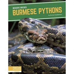 Burmese Pythons
