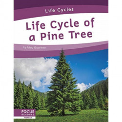 Life Cycle of a Pine Tree