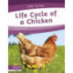 Life Cycle of a Chicken