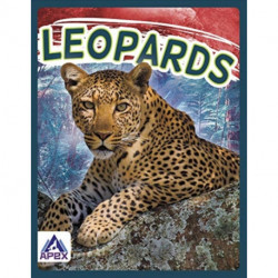 Leopards