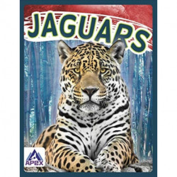 Jaguars