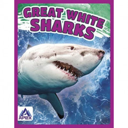 Great White Sharks