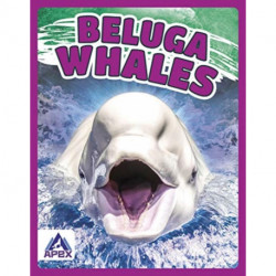 Beluga Whales