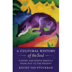 A Cultural History of the Soul: Europe and North America from 1870 to the Present