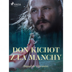 Don Kichot z La Manchy