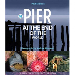 The Pier at the End of the World