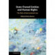 State-Owned Entities and Human Rights: The Role of International Law