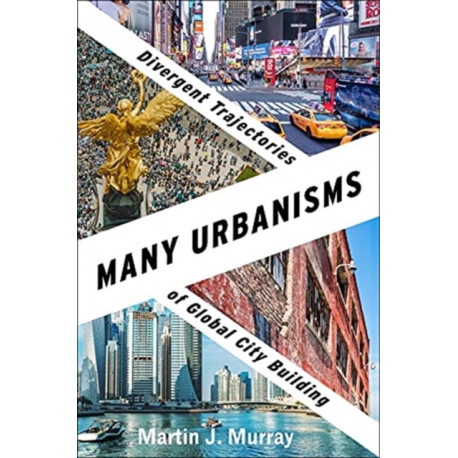 Many Urbanisms: Divergent Trajectories of Global City Building